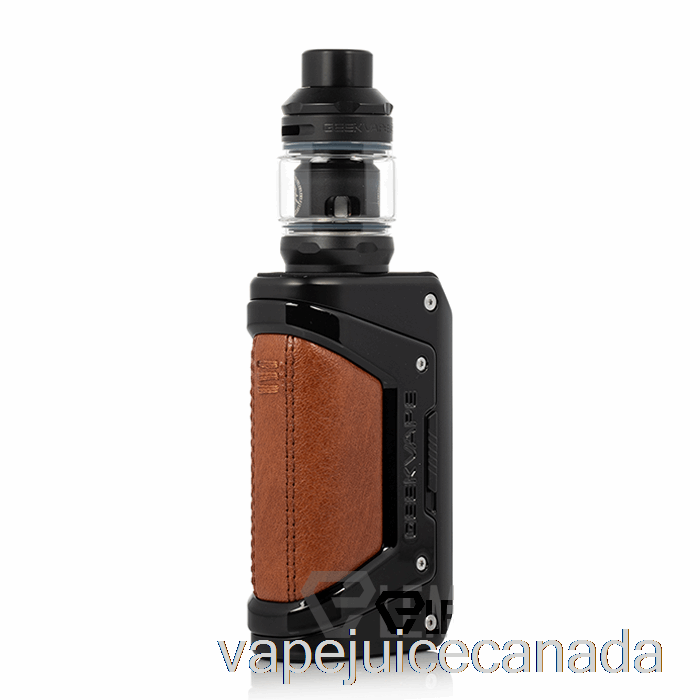 Vape Canada Geek Vape L200 Aegis Legend 2 200W Starter Kit BLACK (w/ Brown Leather)